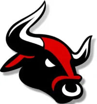 Bullseye Golf logo: a black bull head with a red face and white horns.
