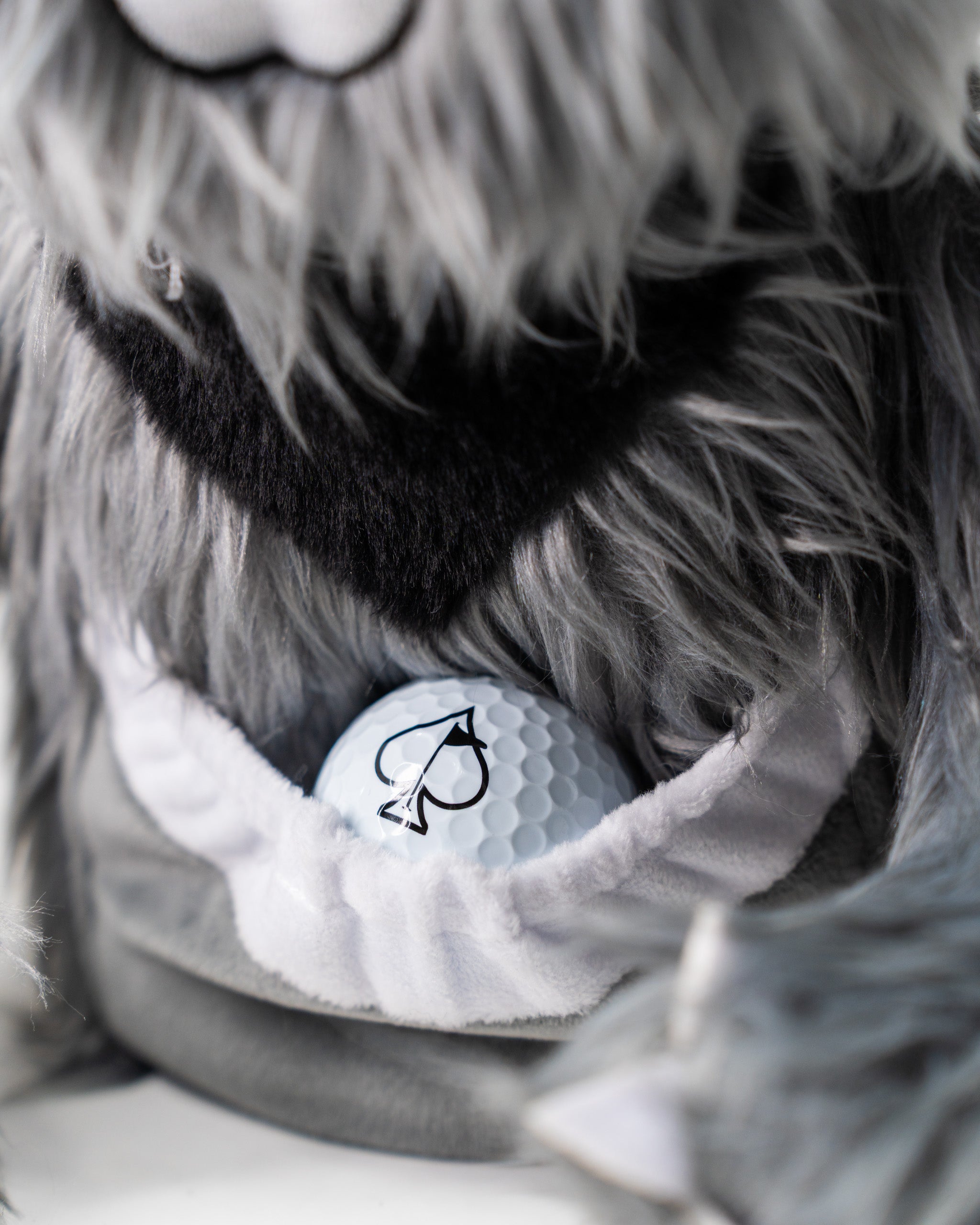 Koala - Driver Cover