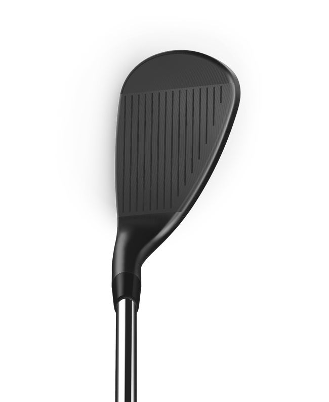 Wilson Infinite Wedge