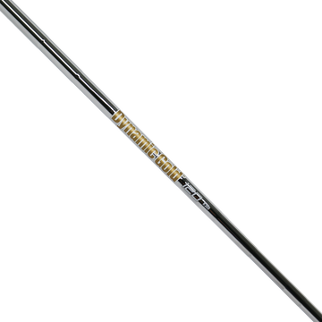 True Temper Dynamic Gold 120 Iron Shafts